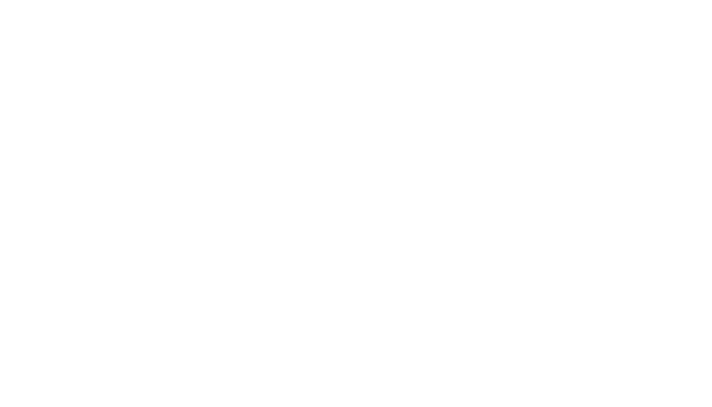 eCommerce.de